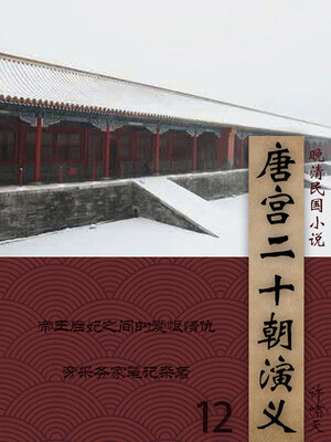 cover image of 唐宫二十朝演义（12）